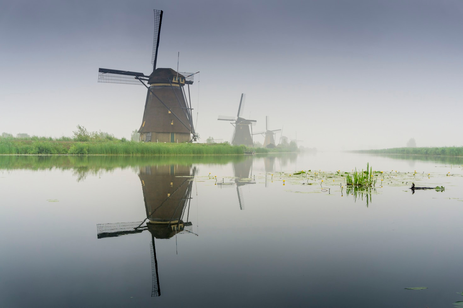 Planning Your Dutch Adventure: Tips and Tricks